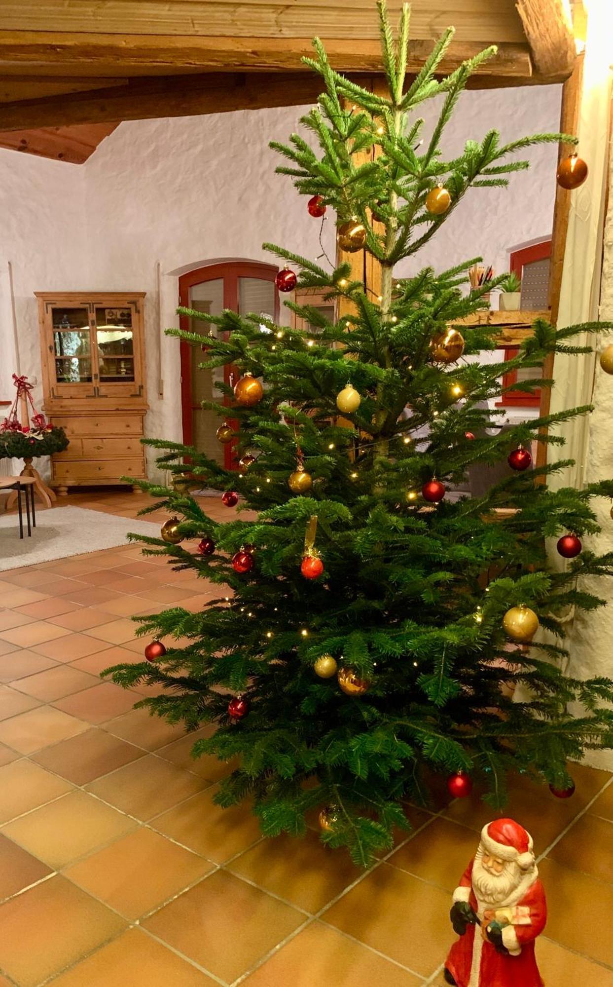 Altmuehl Familienvilla Тройхтлинген Экстерьер фото
